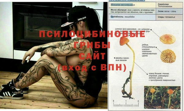 МДМА Михайлов
