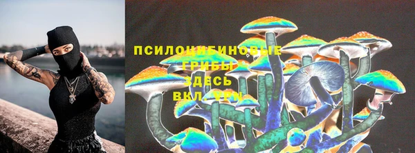 прущая мука Михайловск