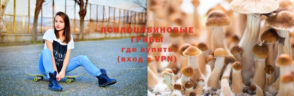 прущая мука Михайловск
